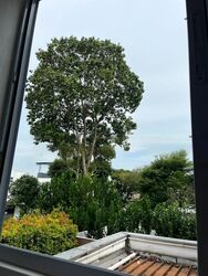 Lucky Park (D10), Semi-Detached #444330651